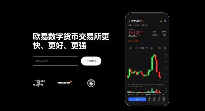 OKPay钱包APP下载平台展示图
